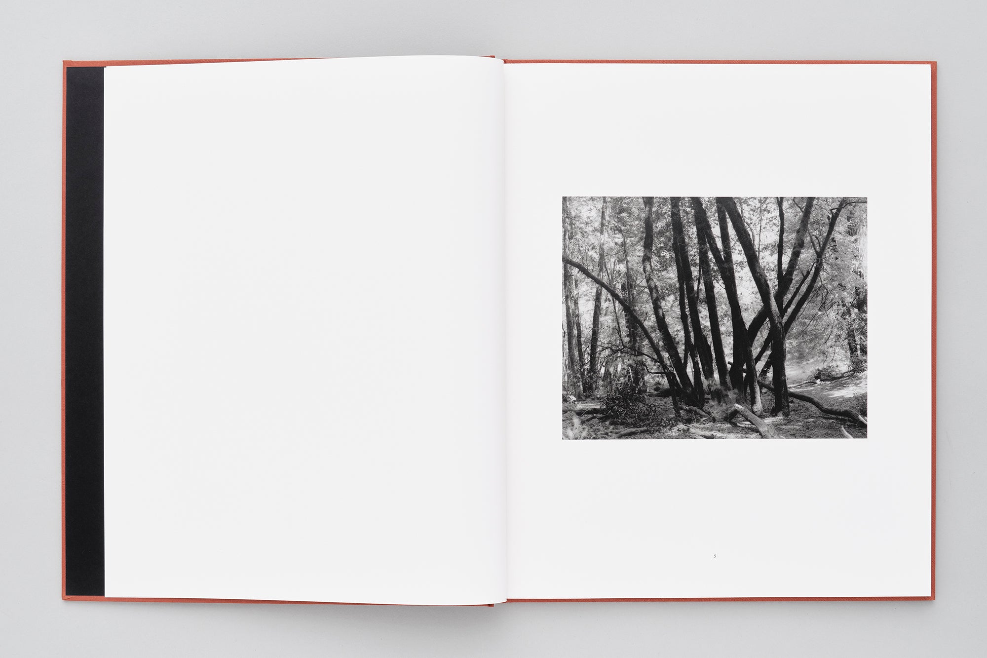 DOLDRUMS – Brian Kanagaki