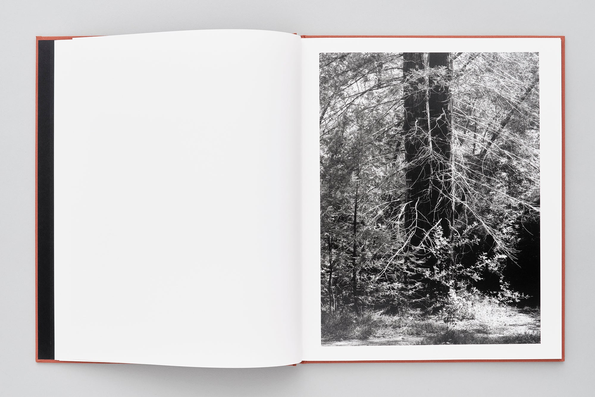 DOLDRUMS – Brian Kanagaki